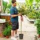 Simegarden Acer palmatum 'Shaina' 24 cm
