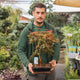 Simegarden Acero rosso bonsai 23 cm