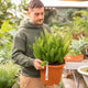 Simegarden Asparagus meyerii
