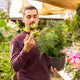 Simegarden Asparagus setaceus 19 cm