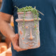 Simegarden Baby Senecio