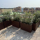 Simegarden Balconetta Fenice 55