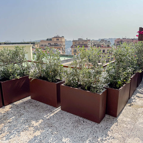 Simegarden Balconetta Fenice 55