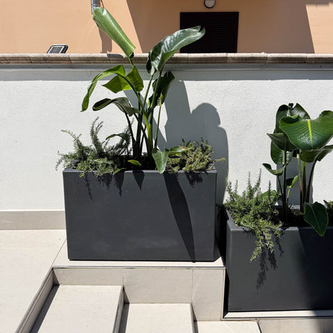 Simegarden Balconetta Fenice 55 55 cm / 85 cm / Antracite