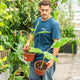 Simegarden Banano variegato