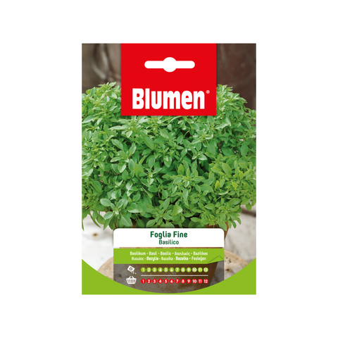 basilico semi - Un Orso in Campagna basilico semi - Un Orso in Campagna