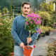 Simegarden Bougainvillea sanderiana albero 19 cm / Viola