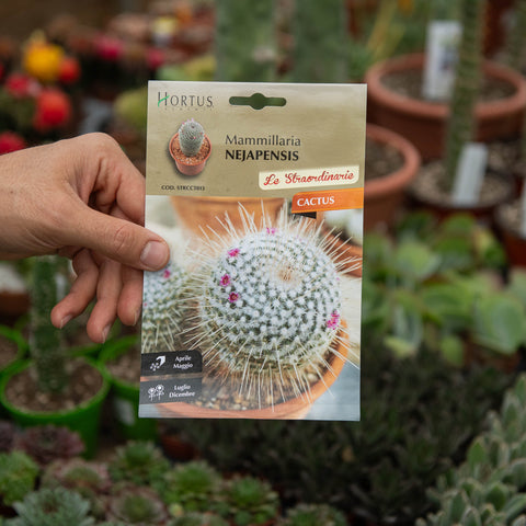 Simegarden Cactus cactus mammillaria Semi