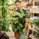Simegarden Calathea makoyana 19 cm