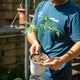 Simegarden Ceiba speciosa 14 cm - pianta di 1 anno