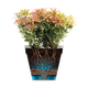 Simegarden Ciotole per fiori "Loft Urban Bowl"