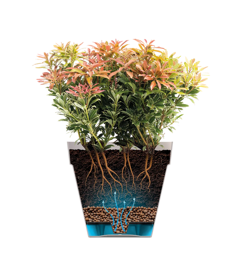 Set 3 Vasi Vaso Brush Ciotola Bianco Ciotole Fibra Di Vetro Piante Fiori Giardino 12782709 Set 3 Vasi Vaso Brush Ciotola Bianco Ciotole Fibra Di Vetro Piante Fiori Giardino 12782709
