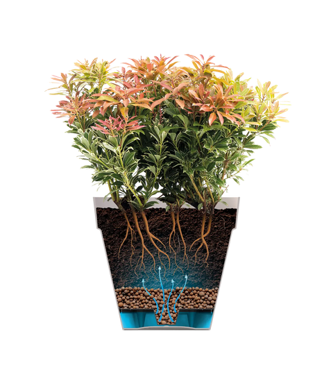 Simegarden Ciotole per fiori "Loft Urban Bowl"