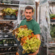 Simegarden Coleus pianta "green dreamz"
