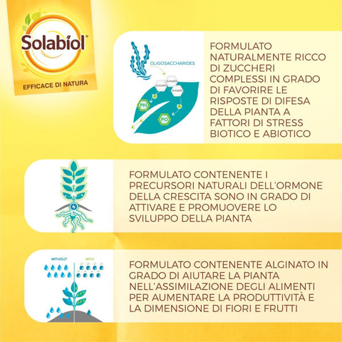 Simegarden Concime piante orticole 1 Litro