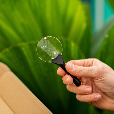 Simegarden Cura delle piante Kit