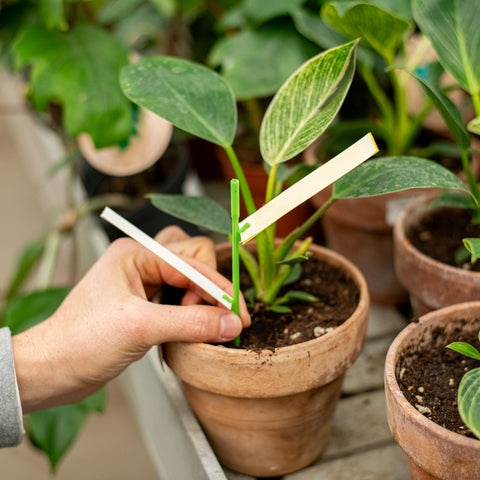 Simegarden Cura delle piante Kit