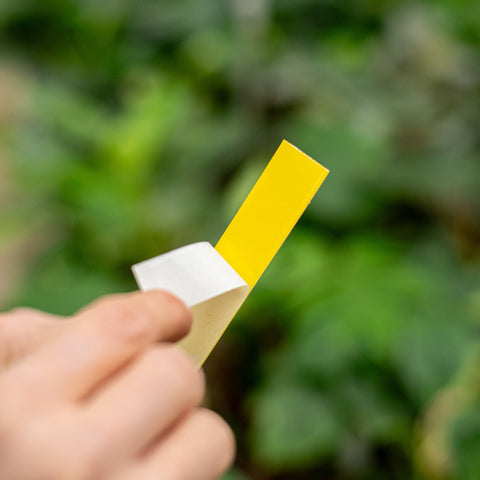 Simegarden Cura delle piante Kit