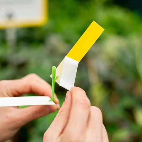 Simegarden Cura delle piante Kit