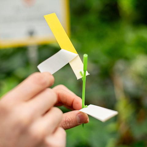 Simegarden Cura delle piante Kit