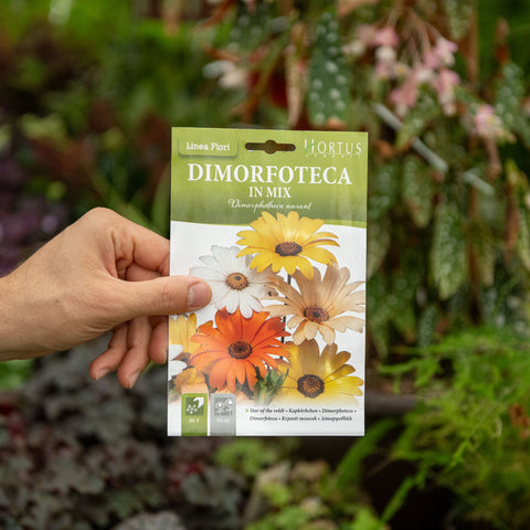 Simegarden Dimorfoteca mix Semi