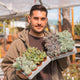 Simegarden Echeveria baby