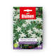 Simegarden EDELWEISS O STELLA ALPINA