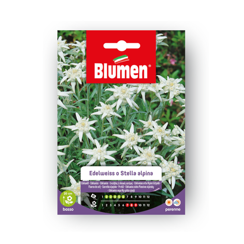 Simegarden EDELWEISS O STELLA ALPINA