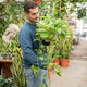 Simegarden Epipremnum marble queen