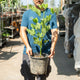 Simegarden Erythrina crista-galli 24-26 cm
