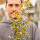 Simegarden Eugenia myrtifolia 17 cm