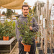 Simegarden Eugenia myrtifolia 17 cm
