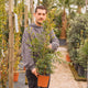 Simegarden Eugenia myrtifolia 17 cm