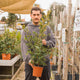 Simegarden Eugenia myrtifolia 17 cm