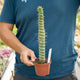 Simegarden Eulychnia castanea 8 cm - XL