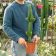 Simegarden Euphorbia eritrea 17 cm