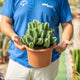 Simegarden Euphorbia resinifera 20 cm