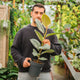 Simegarden Ficus elastica tineke 19 cm