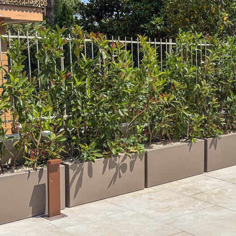 Simegarden Fioriera rettangolare cassetta Fenice