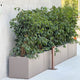 Simegarden Fioriera rettangolare cassetta Fenice Tortora / 80 cm