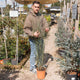 Simegarden Ginestra pianta