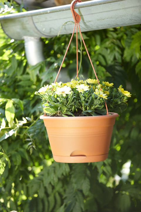 Esschert Design Vassoio per Piante con Morsetto Rotondo Dorato L | Leroy Merlin Esschert Design Vassoio per Piante con Morsetto Rotondo Dorato L | Leroy Merlin