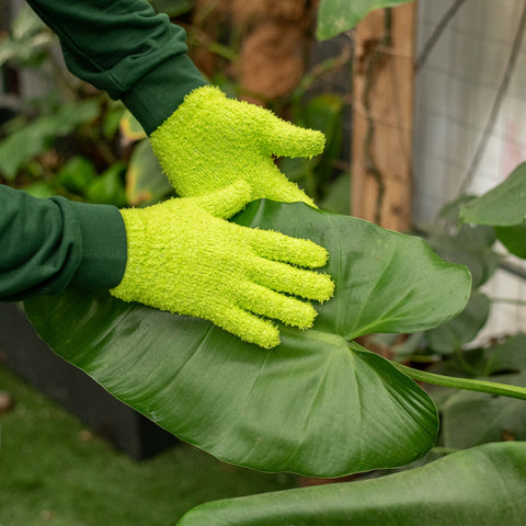 Simegarden Guanti per pulire piante Unica / Verde lime