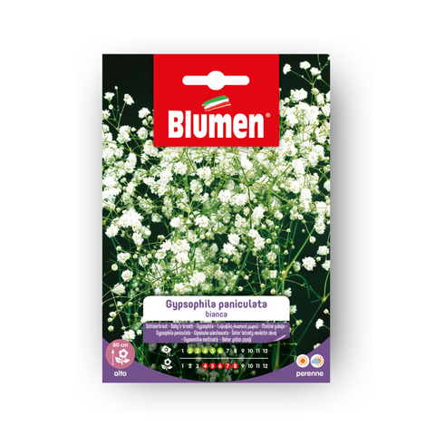 Simegarden GYPSOPHILA PENICUL.BIANCA