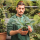 Simegarden Hosta “Halcyon” 17 cm