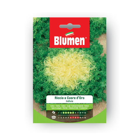 Simegarden Indivia Riccia Cuore D'Oro semi