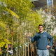 Simegarden Jacaranda mimosifolia 15 cm