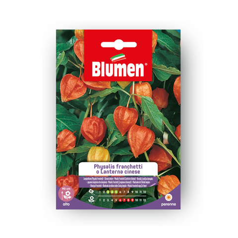 Simegarden LANTERNA CINESE-PHYSALIS FR