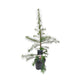 Simegarden Larix decidua 23 cm