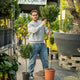 Simegarden Lauro alloro 28 cm